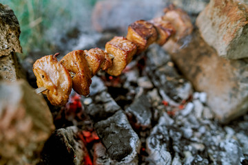 Shish kebab on the fire nature