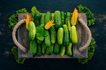 Fresh green cucumbers. Flower cucumber. On a wooden background. Top view. Copy space.
