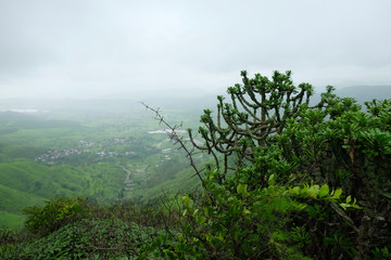 Obraz na płótnie Canvas Lush green monsoon nature landscape mountains, hills, Purandar, Maharashtra, India 