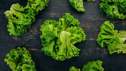 Fresh green lettuce. Fresh vegetables. On a wooden background. Top view. Copy space.