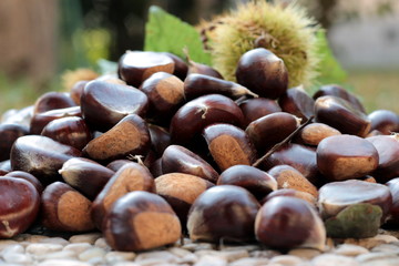 castagne