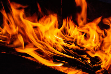 Fire. Wood burning in the fire.