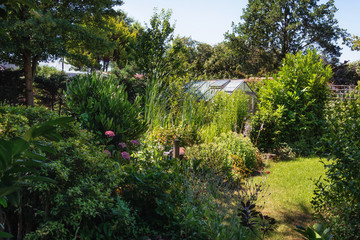 Glass greenhouse hidden by beautiful blooming flowers and plants