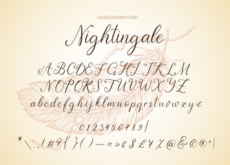 Nightingale. Handdrawn calligraphic vector font. Modern gentle calligraphy.