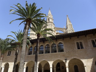 Fototapeta na wymiar Palma Cathedral as seen from the Royal Palace of La Almudaina
