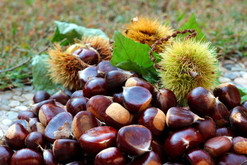 castagne