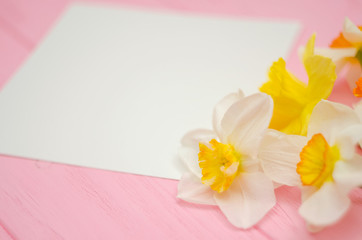 Bouquet of daffodils and a sheet of white paper on a pink wood background.
