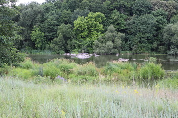  The shore of the plain river