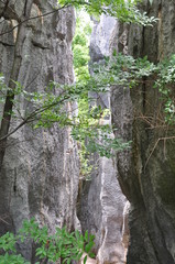 Stone Forest. Shilin Park, China