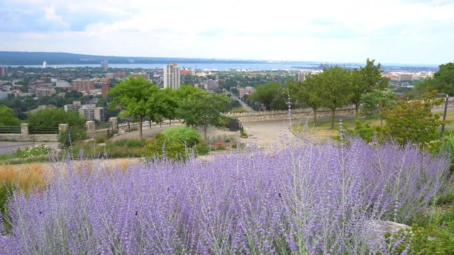 Hamilton city landmarks and waterfront skyline view from Sam Lawrence Park with landscaped flowerbeds on top of Niagara Escarpment along Bruce Trail in summer