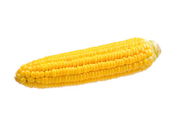 Yellow corn isolated on white background. Copyspace.