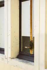 Bees nest on the exterior of a window. Bees flying and lots of bees together on the window.