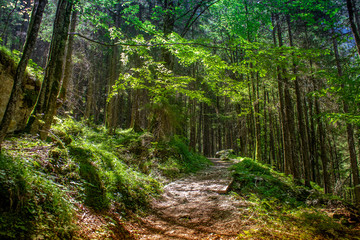 Wanderung