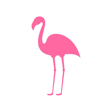 Pink flamingo. Exotic tropical bird. Pink flamingo vector silhouette. Decoration element. Vector illustration isolated
