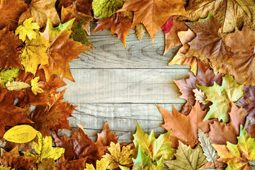 Naklejka na ściany i meble Autumn Holiday Background with Colorful Leaves