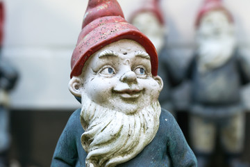 Garden gnome with blue shirt and red cap