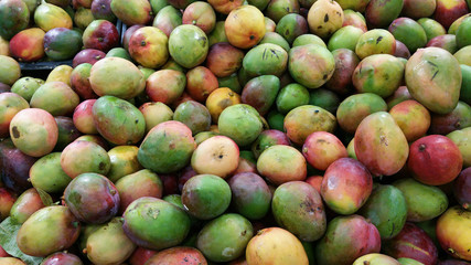 Mango for sale on the market