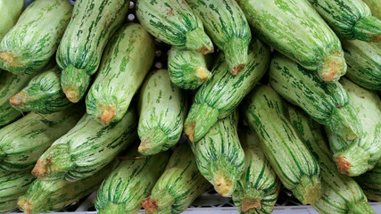 Zucchini sale at market