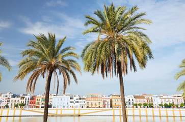 Seville, Spain, riverside boulevards in the historic part of the city. A place of recreation and meetings, on the other side of the river, the historic architecture of the Triana district