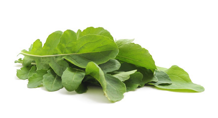 Fototapeta premium Green leaves of arugula.