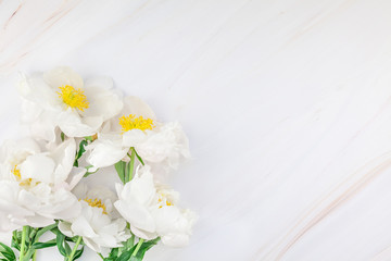 Fototapeta na wymiar White peony flowers on marble background