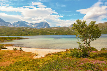Fototapeta na wymiar Lake Tovatna,mountain area Trollheimen, Norway