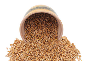 Whole grain of wheat with a jug.