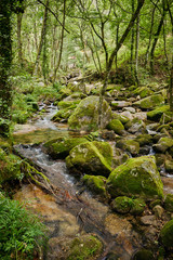 Banks of the Vizela river in the Pontido village before reaching the Queimadela dam in Fafe
