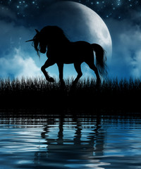 Magical Unicorn Silhouetted against the Moon © ratpack223