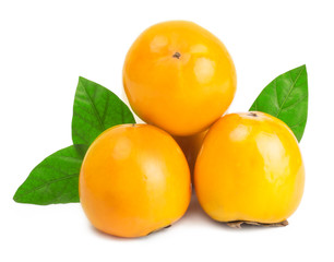 persimmon on white background
