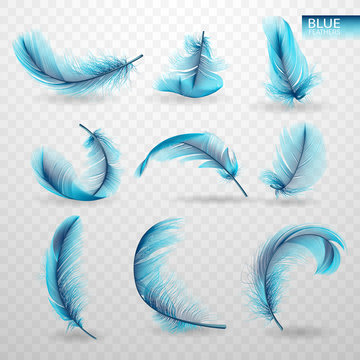 Set of isolated falling blue fluffy twirled feathers on transparent background in realistic style. Vector Illustration