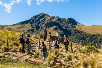 A group of mountaineers stop to photograph a group of llamas © ecuadorquerido