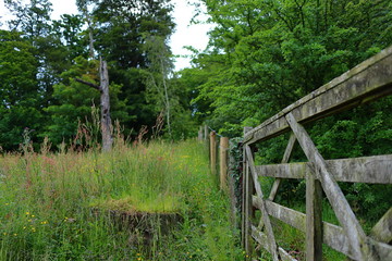 Fototapeta premium Wooden gate