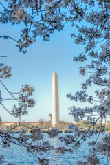 Washington Monument
