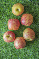 apples on the grass, harvest, harvest festival, summer. Yekaterinburg. 02.08.18