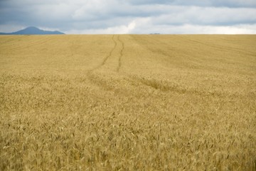 Fields and mountains. Slovakia