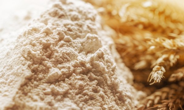 Wheat ears and flour