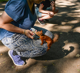 Feeding squirrels in the Park of Pavlovsk.