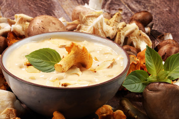 mushroom soup and variety of raw mushrooms on wooden table. oyster