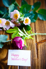 beautiful blooming roses and a greeting card for the mother