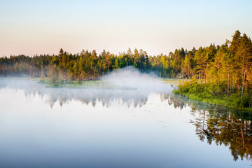 Morning fog at the forest lake in Karelia