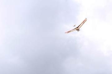 Fototapeta na wymiar Ala delta en vuelo
