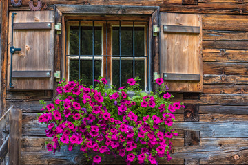 Fototapeta na wymiar Rustikales Holzfenster mit Blumen
