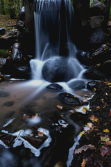 autumnal waterfall with maple leaves