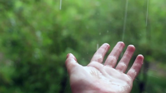 rain drop falling down on woman girl hand in rainy day outside with green trees fresh nature on unfocused background female person enjoying the feelings of water touch close up holding hand up