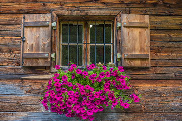 Fototapeta na wymiar Rustikales Holzfenster mit Blumen