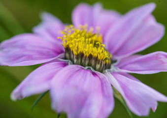 At The Centre Of Things