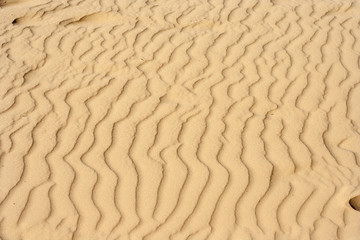 Sand texture.Dented wave of the blow of the wind