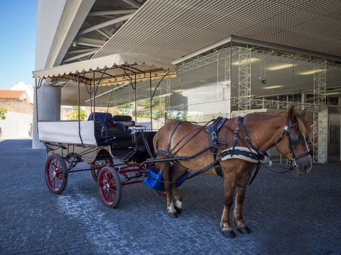 Traditional horse and carriage near Museu dos Coches in Lisbon