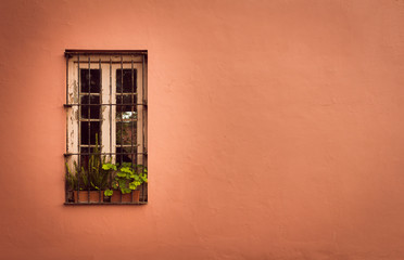 Old wooden window with bars on an old wall painted in pink